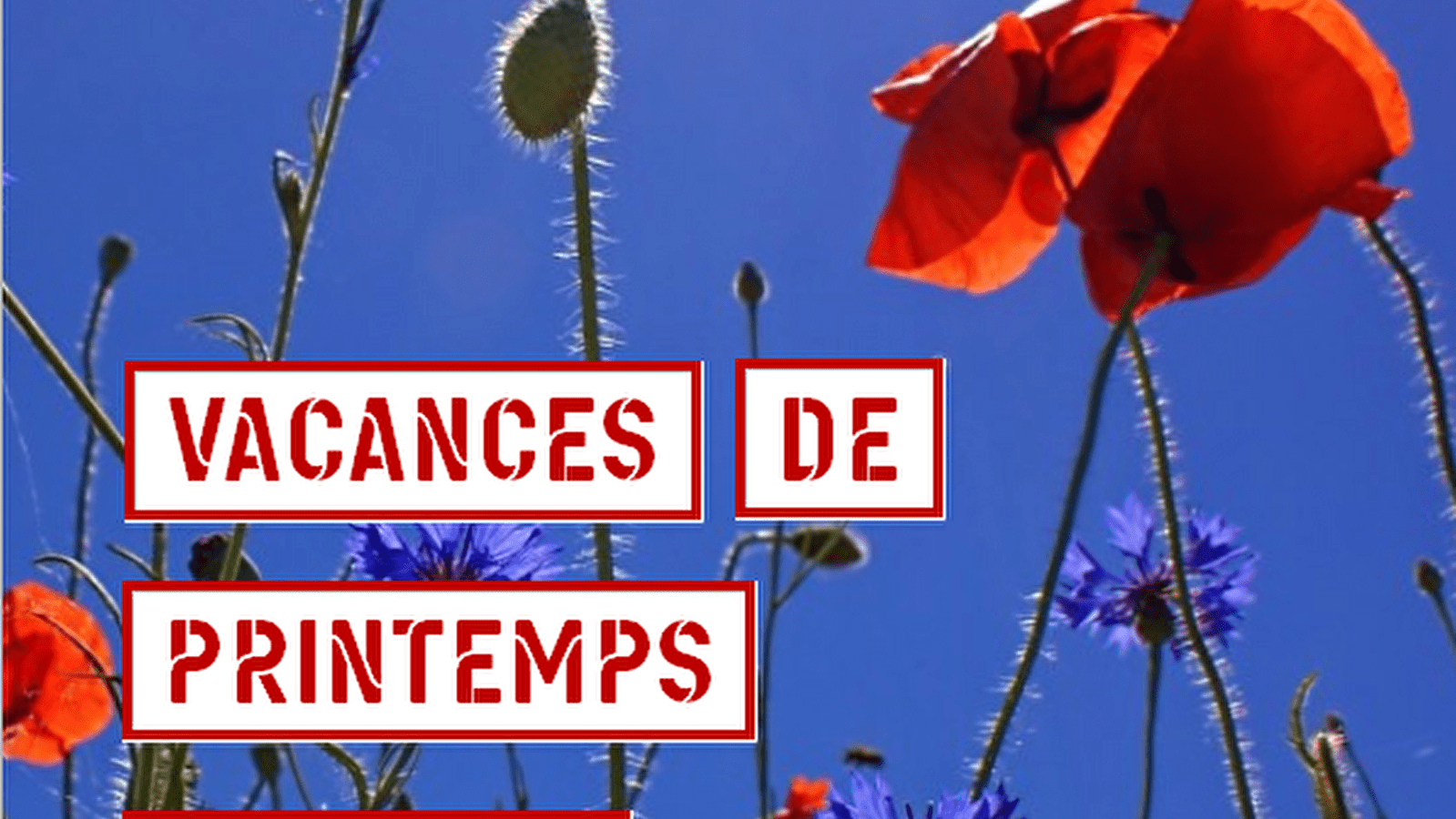 Ateliers famille vacances de printemps