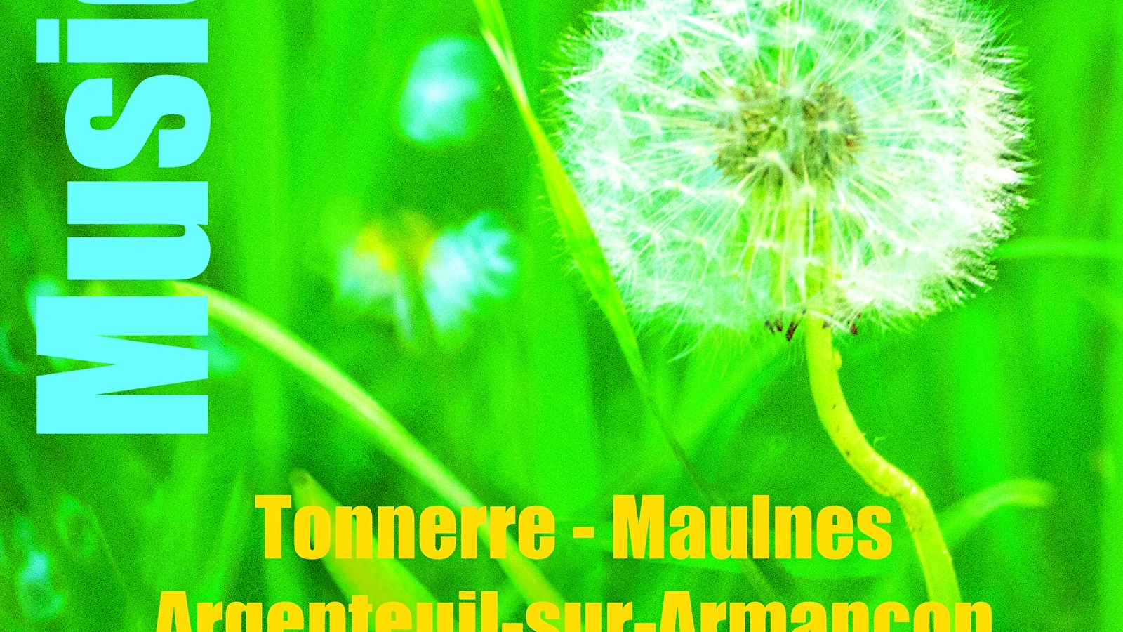 Festival Musiques en Tonnerrois : Concert en famille