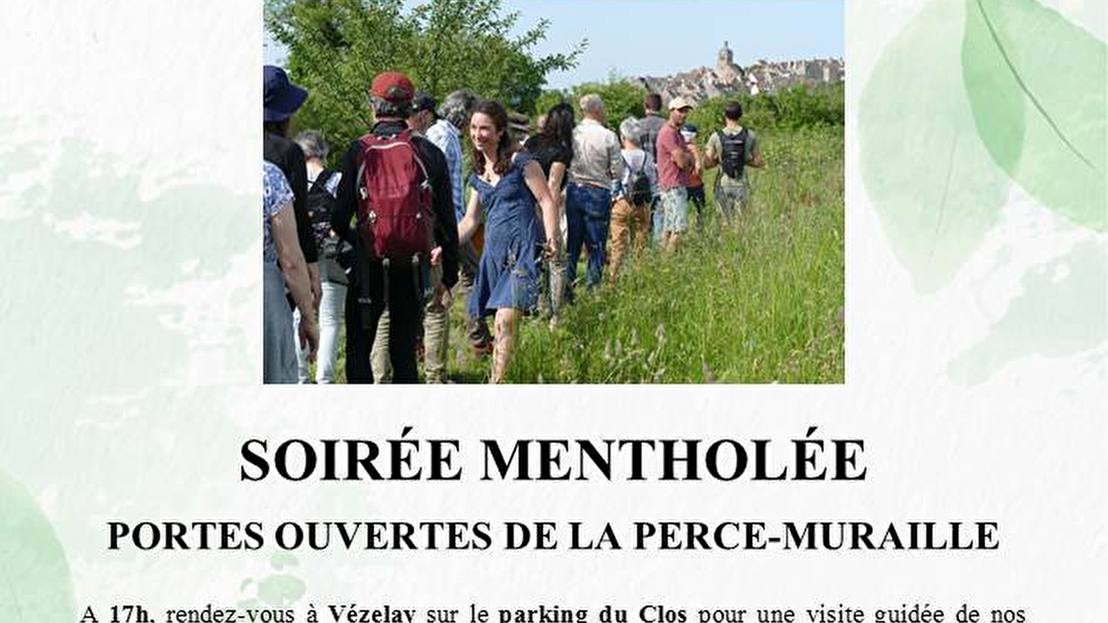 Soirée mentholée