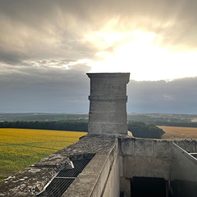 Soirées couchers de soleil