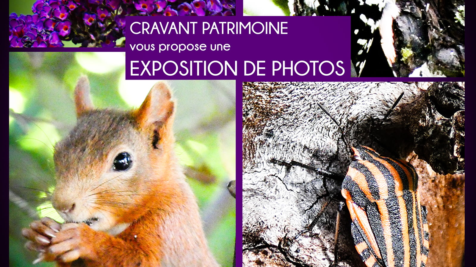 Exposition de photos