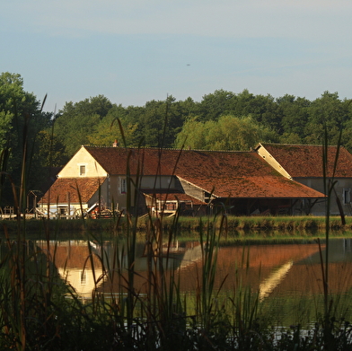 Sentier botanique du Moulin de Vanneau