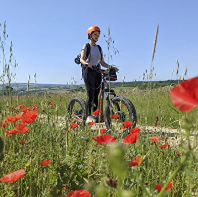 France à Vélo