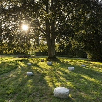 Accueil-boutique et visites de l'Abbaye de Pontigny - SAS La Terre