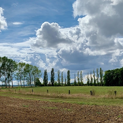 Que dirais-tu de découvrir un village de l’Yonne et ses environs tout en t’amusant ?