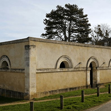 Que dirais-tu de découvrir un village de l’Yonne et ses environs tout en t’amusant ?