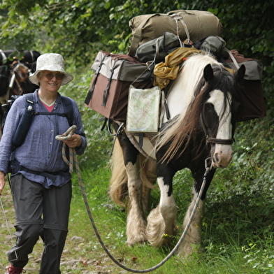 Une chouette balade nature dans le Morvan !