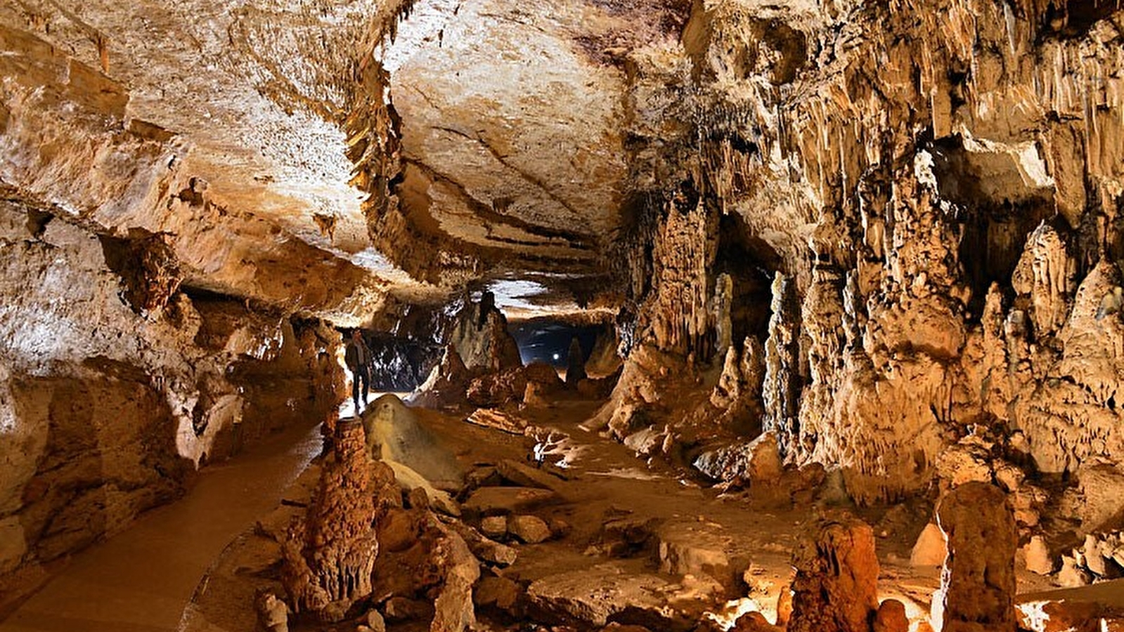 Un monde souterrain fascinant et mystérieux