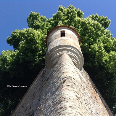 Avallon, cité méconnue aux portes du Morvan