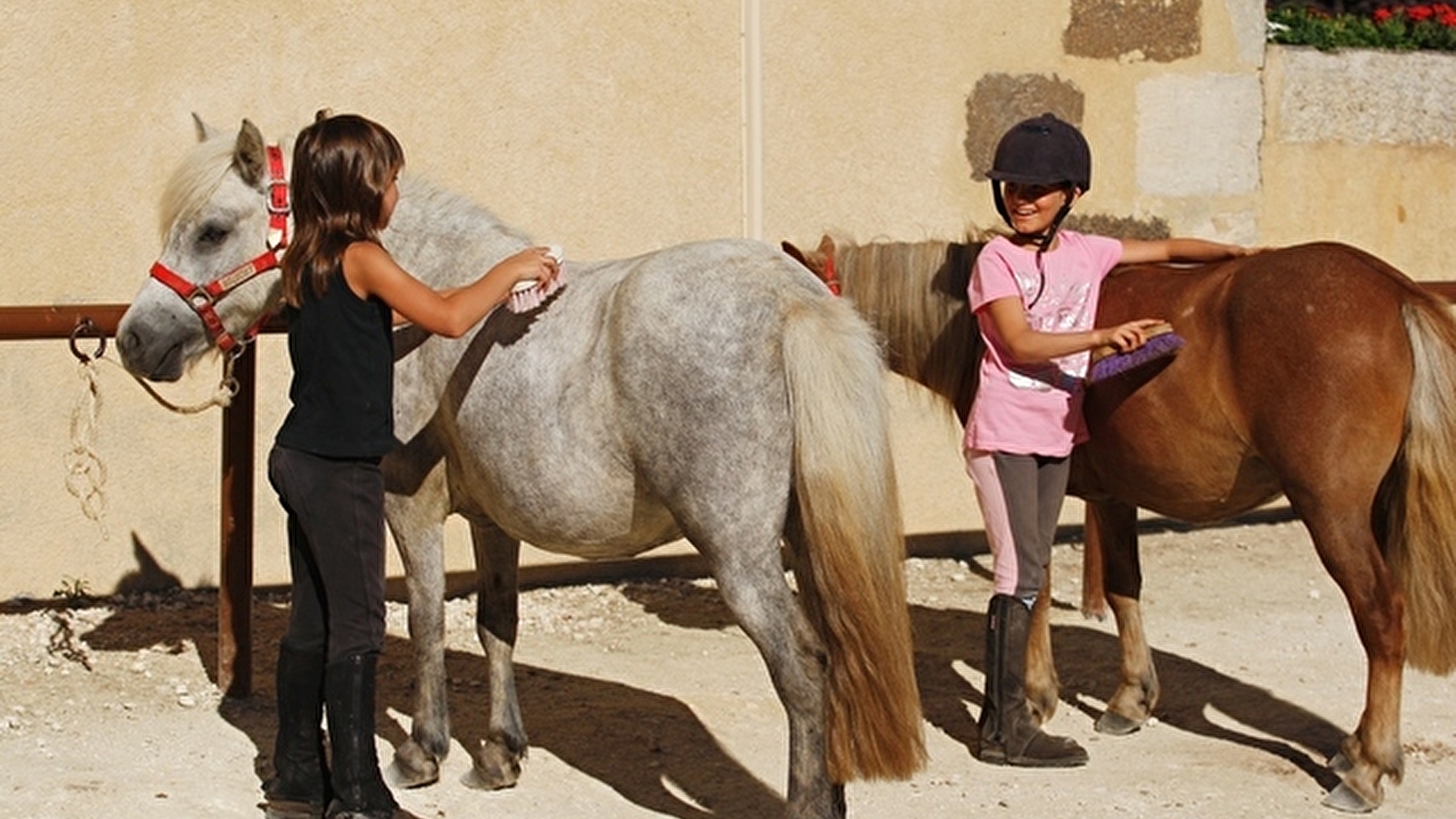 Domaine Equestre Les Grilles - Scolaires et groupes