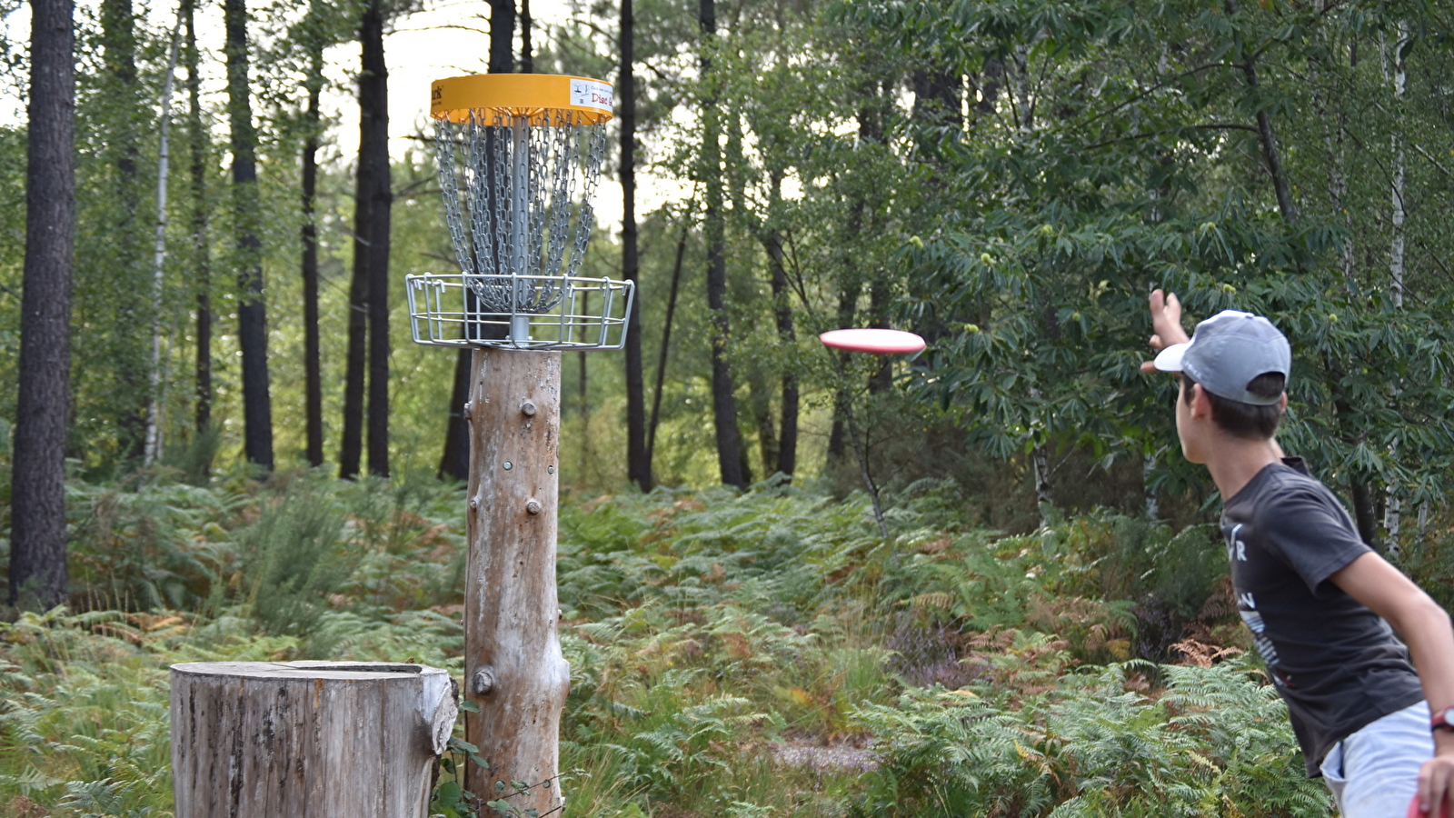 Viens vite tester le Disc Golf, la nouveauté du Parc de Bois de la Folie ! 