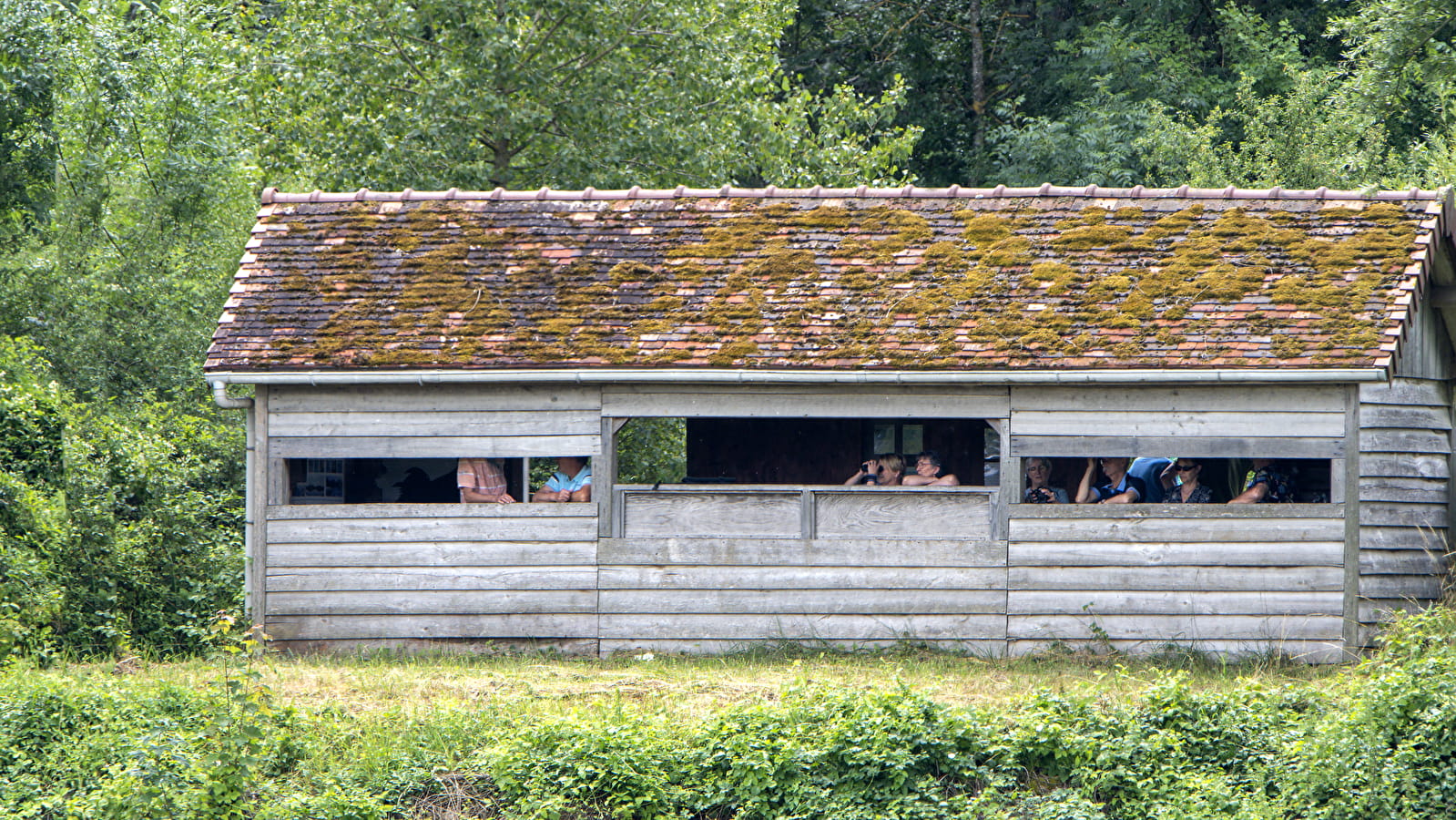 Réserve ornithologique de Bas-Rebourseaux