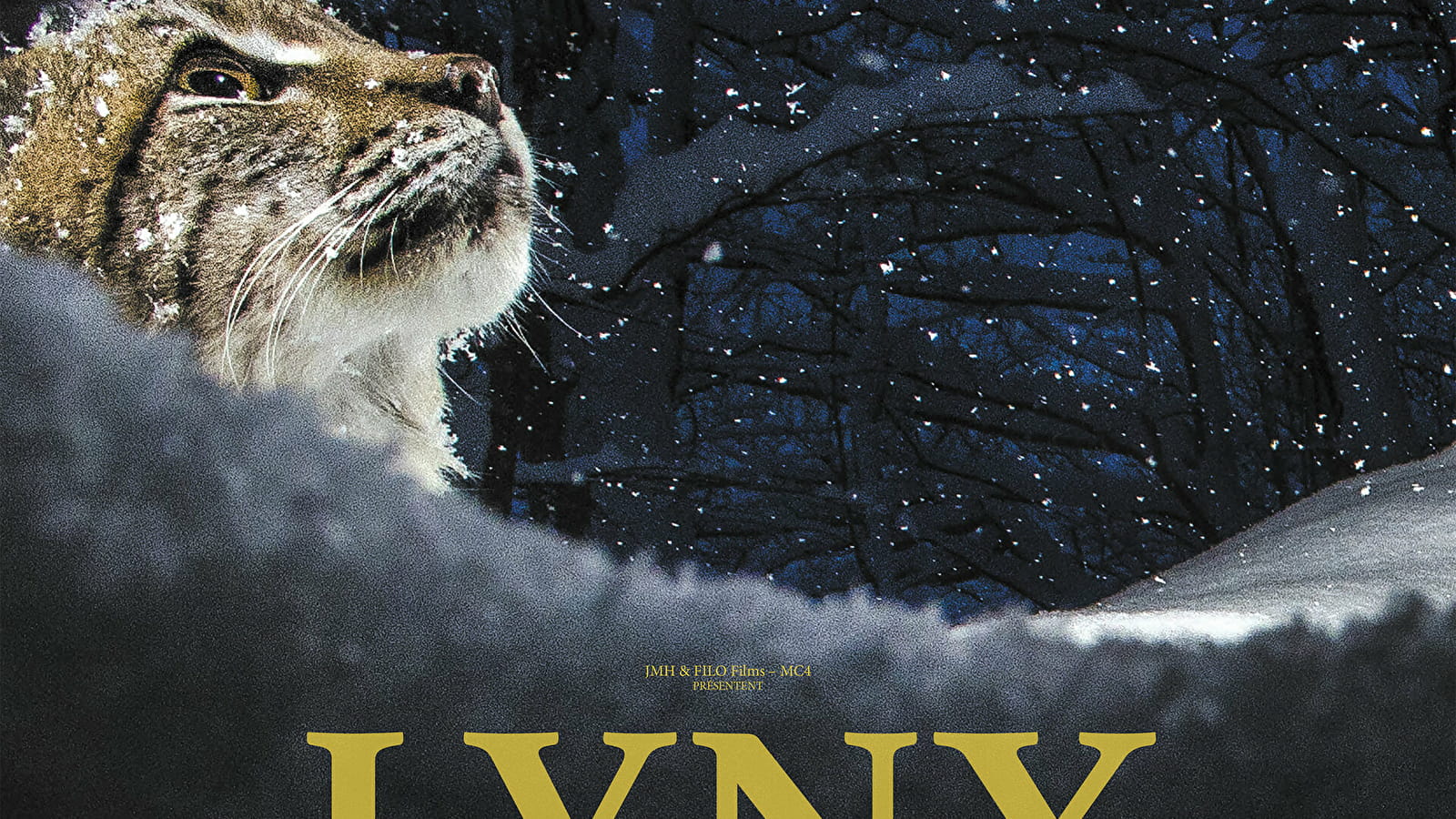 Projection du film Lynx suivi d'un débat