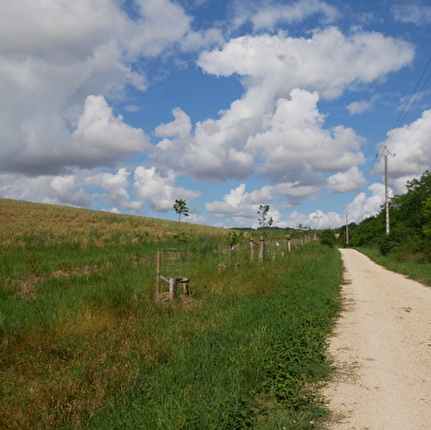 Que dirais-tu de découvrir un village de l’Yonne et ses environs tout en t’amusant ?