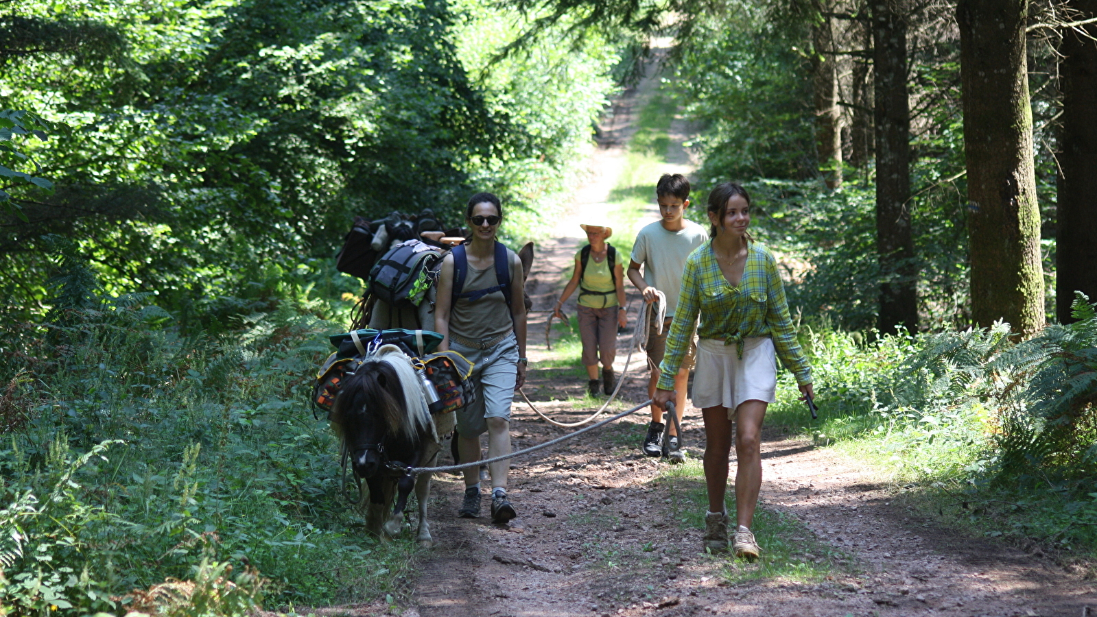 Une chouette balade nature dans le Morvan !