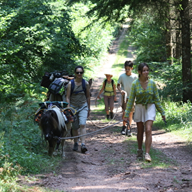 Pars en famille sur les chemins du Morvan et dors à la belle étoile