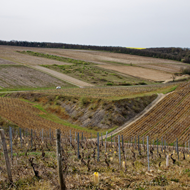 Que dirais-tu de découvrir un village de l’Yonne et ses environs tout en t’amusant ?