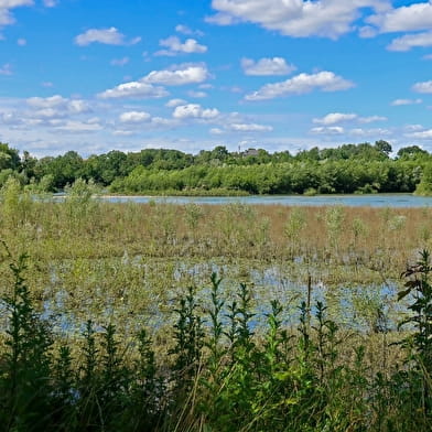 Réserve ornithologique de Bas-Rebourseaux