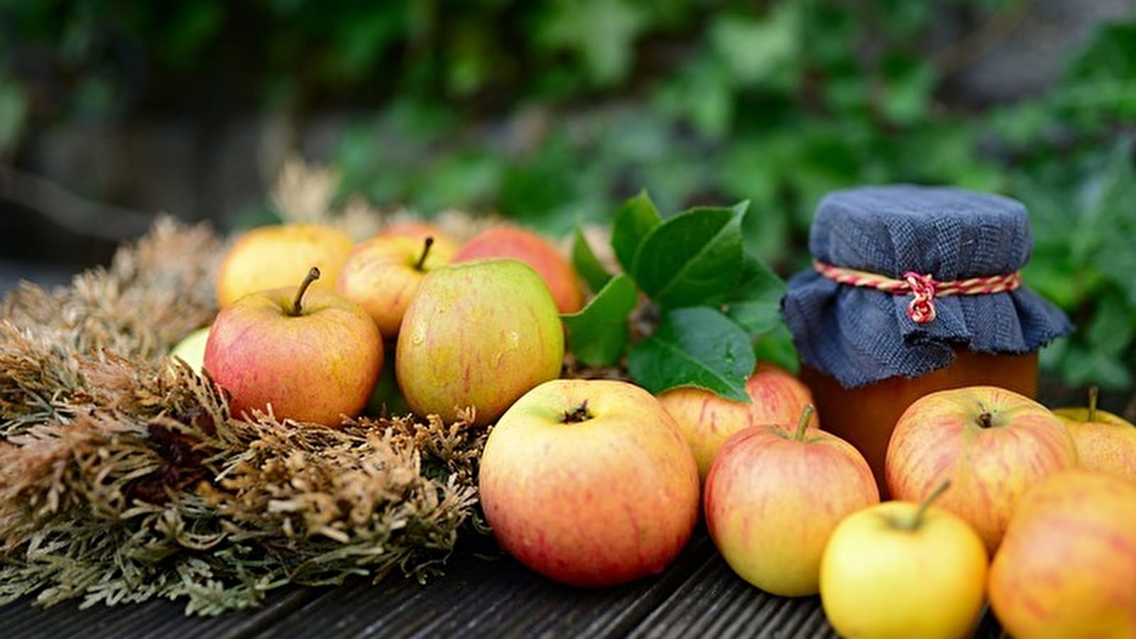 3e édition Fête de la pomme