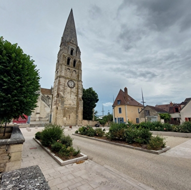 Sur les traces des origines de la ville d'Auxerre