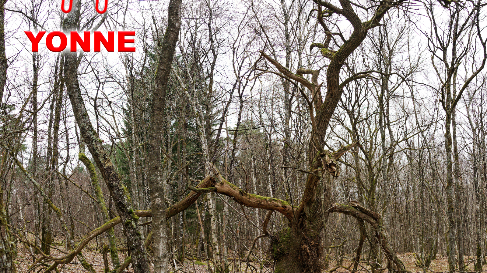 Que dirais-tu de découvrir un village de l’Yonne et ses environs tout en t’amusant ?