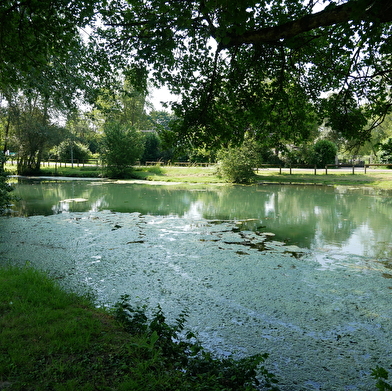 Que dirais-tu de découvrir un village de l’Yonne et ses environs tout en t’amusant ?