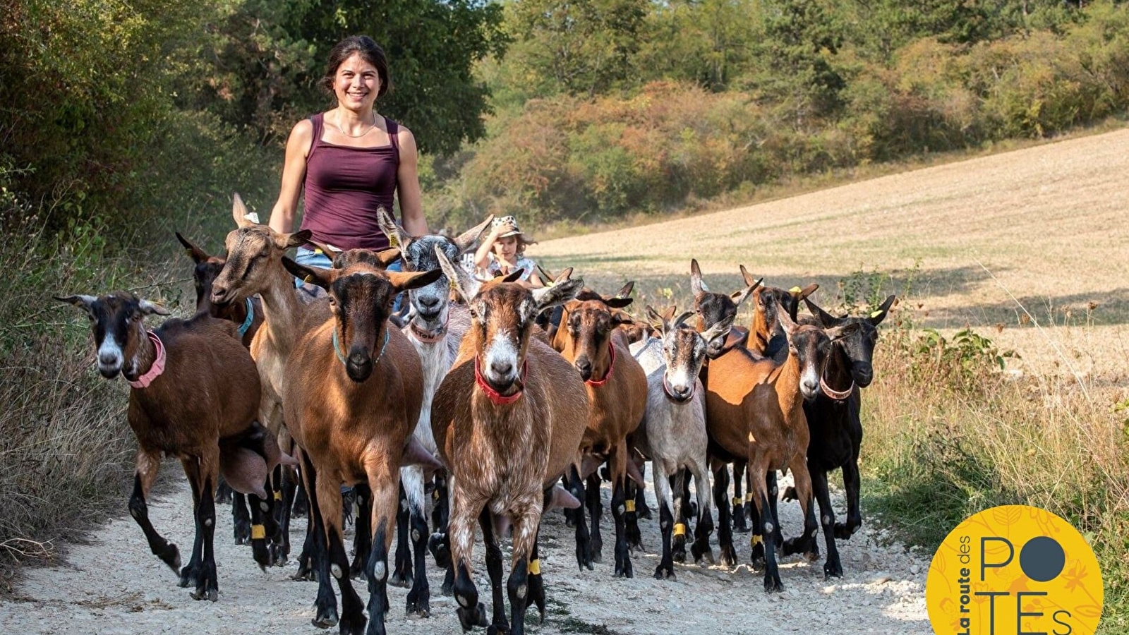 Une randonnée pour toute la famille avec les biquettes de la ferme.